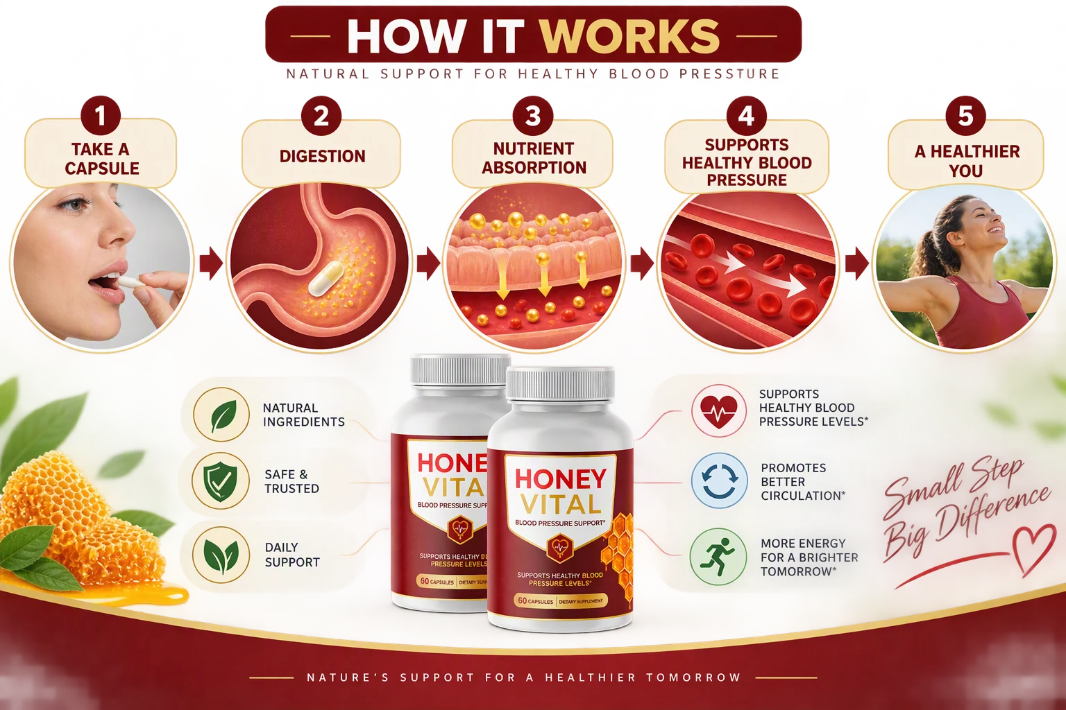 How Honey Vital works — capsule, digestion, absorption, healthy blood pressure, healthier you